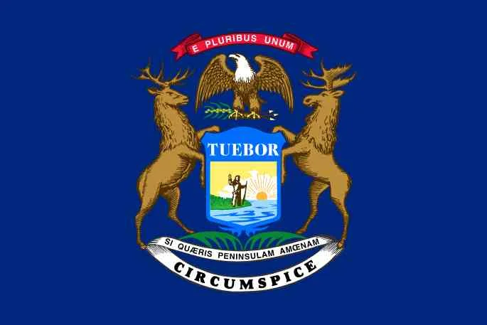 Michigan Medicaid Billing Guideline