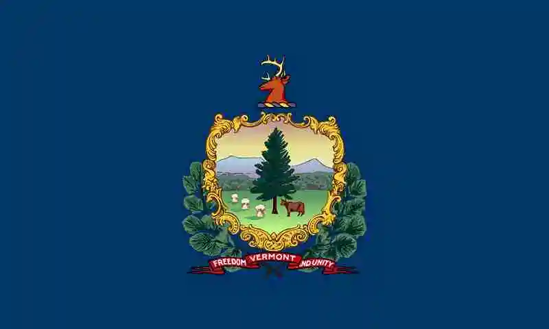 Vermont Medicaid Billing Guideline